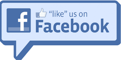 Like All Out Pest Control on Facebook